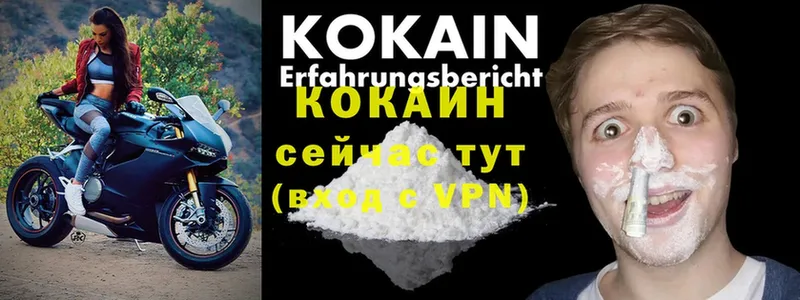 ссылка на мегу рабочий сайт  дарнет шоп  Кизел  Cocaine Перу 